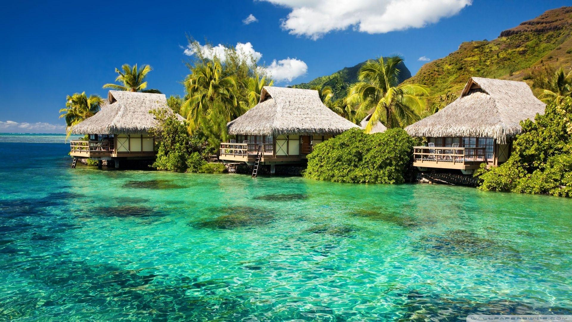 1920x1080 Free download Tropical Desktop Wallpaper HD wallpaper