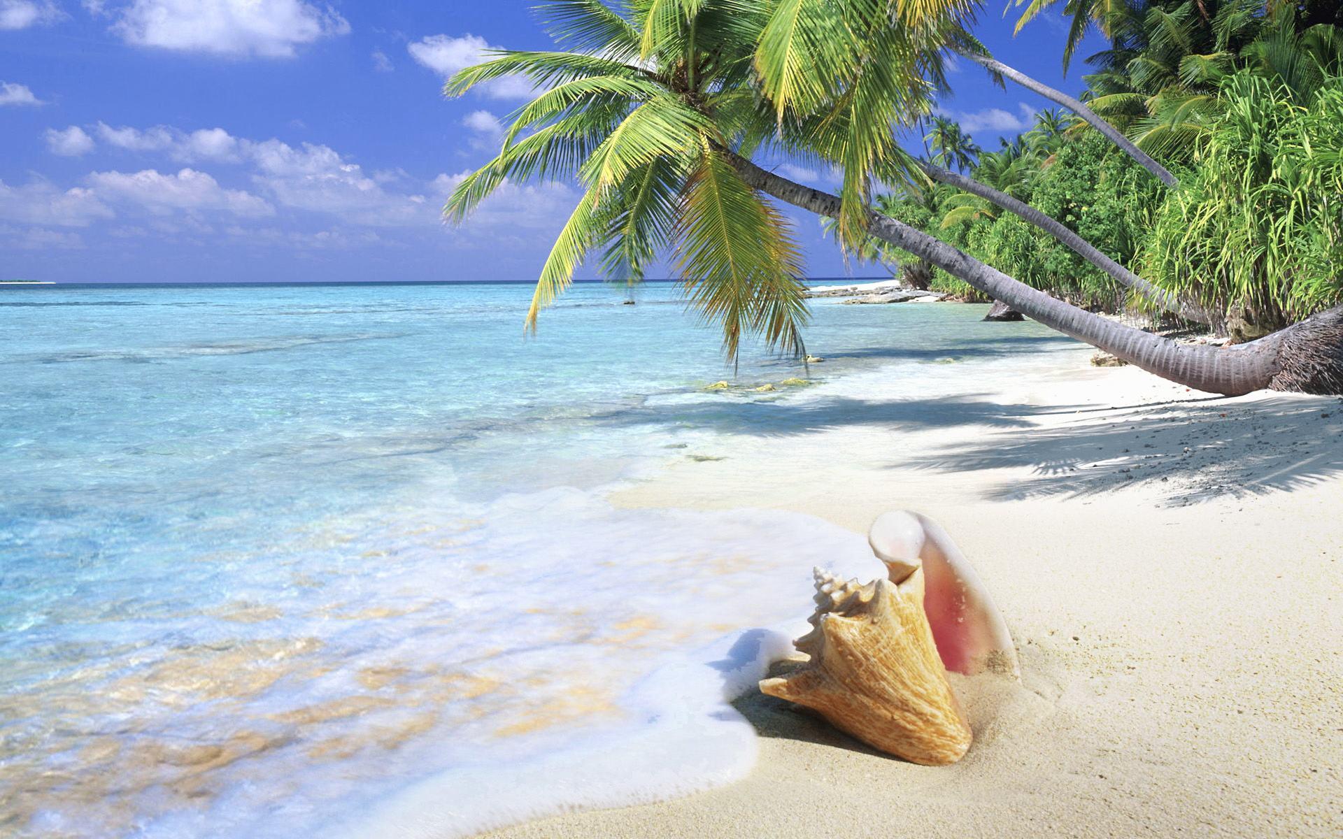 1920x1200 Tropical Beach Desktop Wallpaper