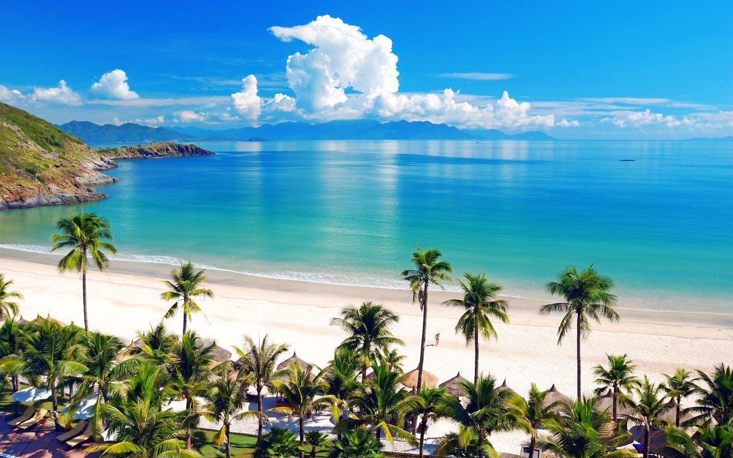 1440x900 HD Tropical Desktop Wallpaper_hd wallpaper_download free