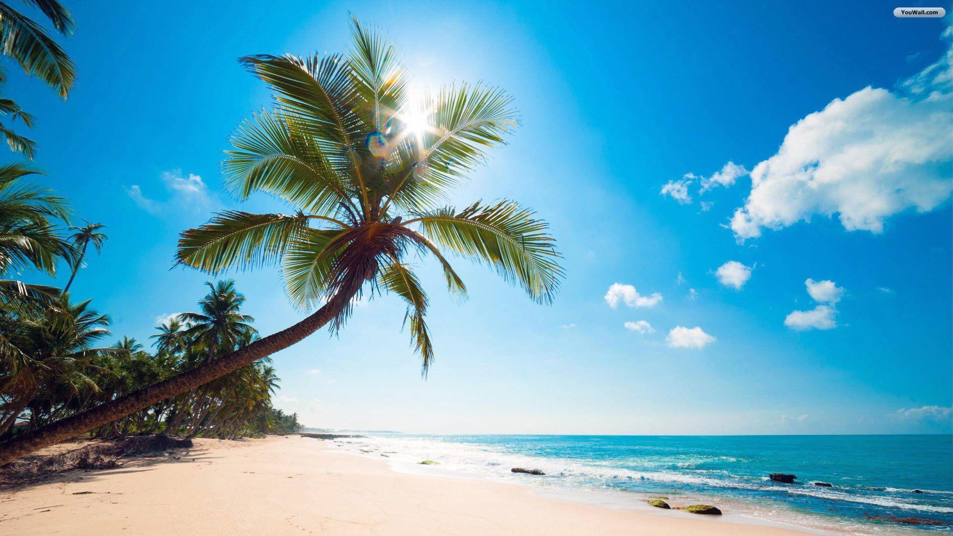 1920x1080 Tropical beach wallpaper Gallery