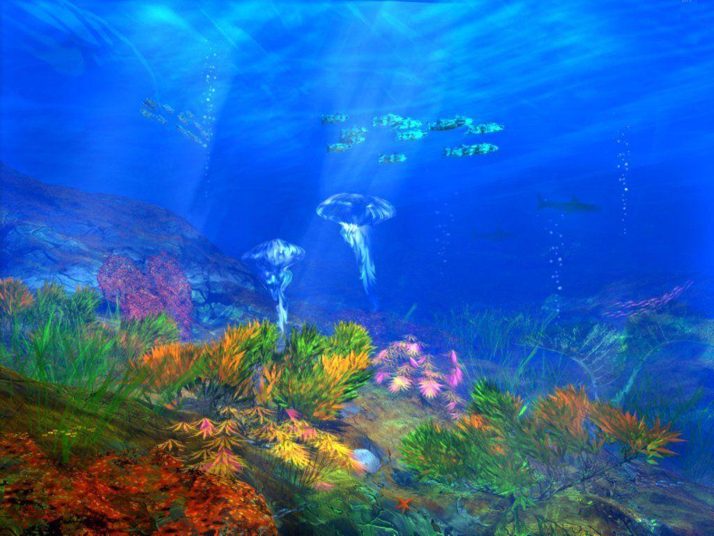 Under Ocean Wallpapers - Top Những Hình Ảnh Đẹp