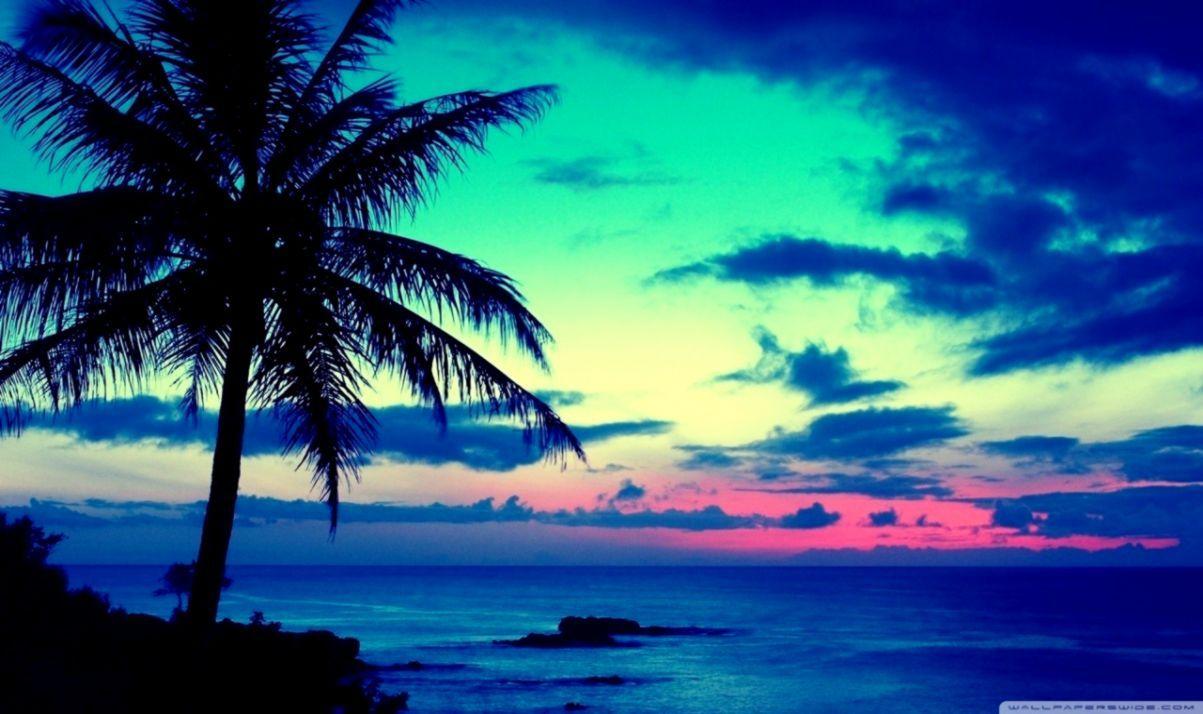 1203x714 Tropical Wallpaper Widescreen
