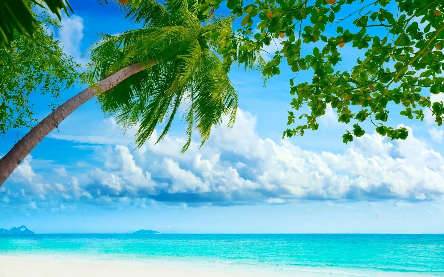 1440x900 Tropical Beach Resorts ❤ 4K HD Desktop Wallpaper for 4K