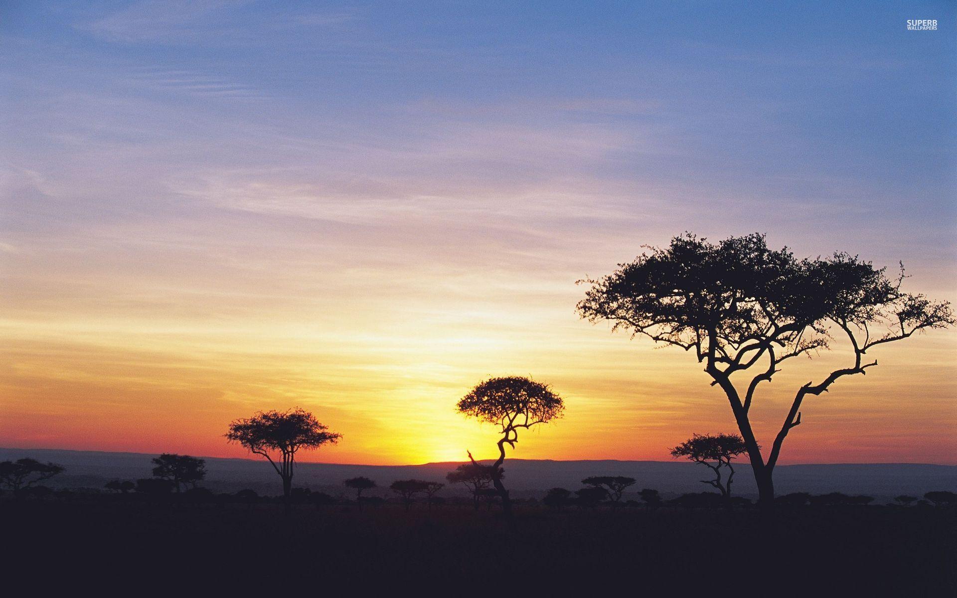 1920x1200 Safari Wallpaper