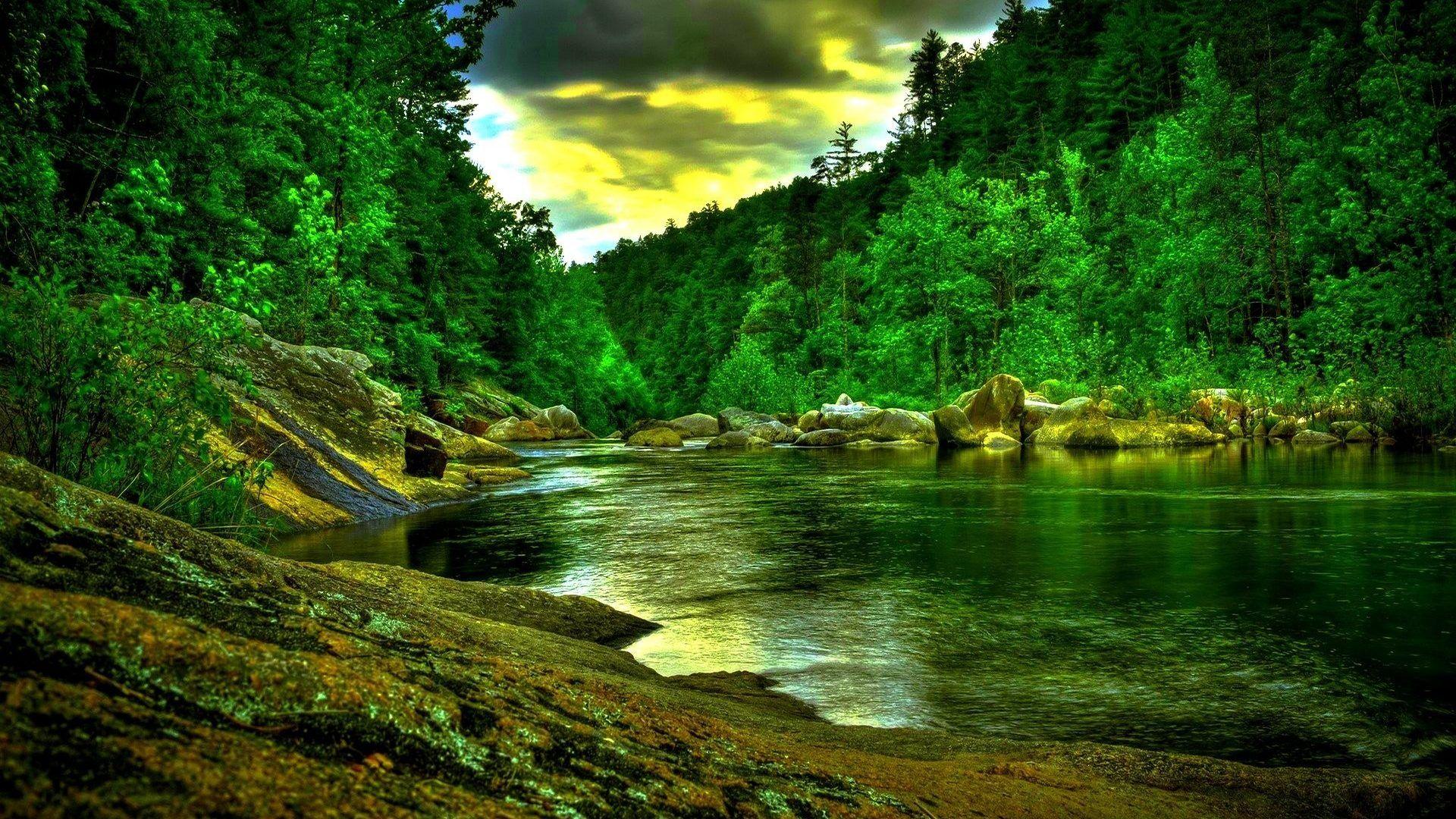 1920x1080 Nature desktop wallpaper HD Gallery