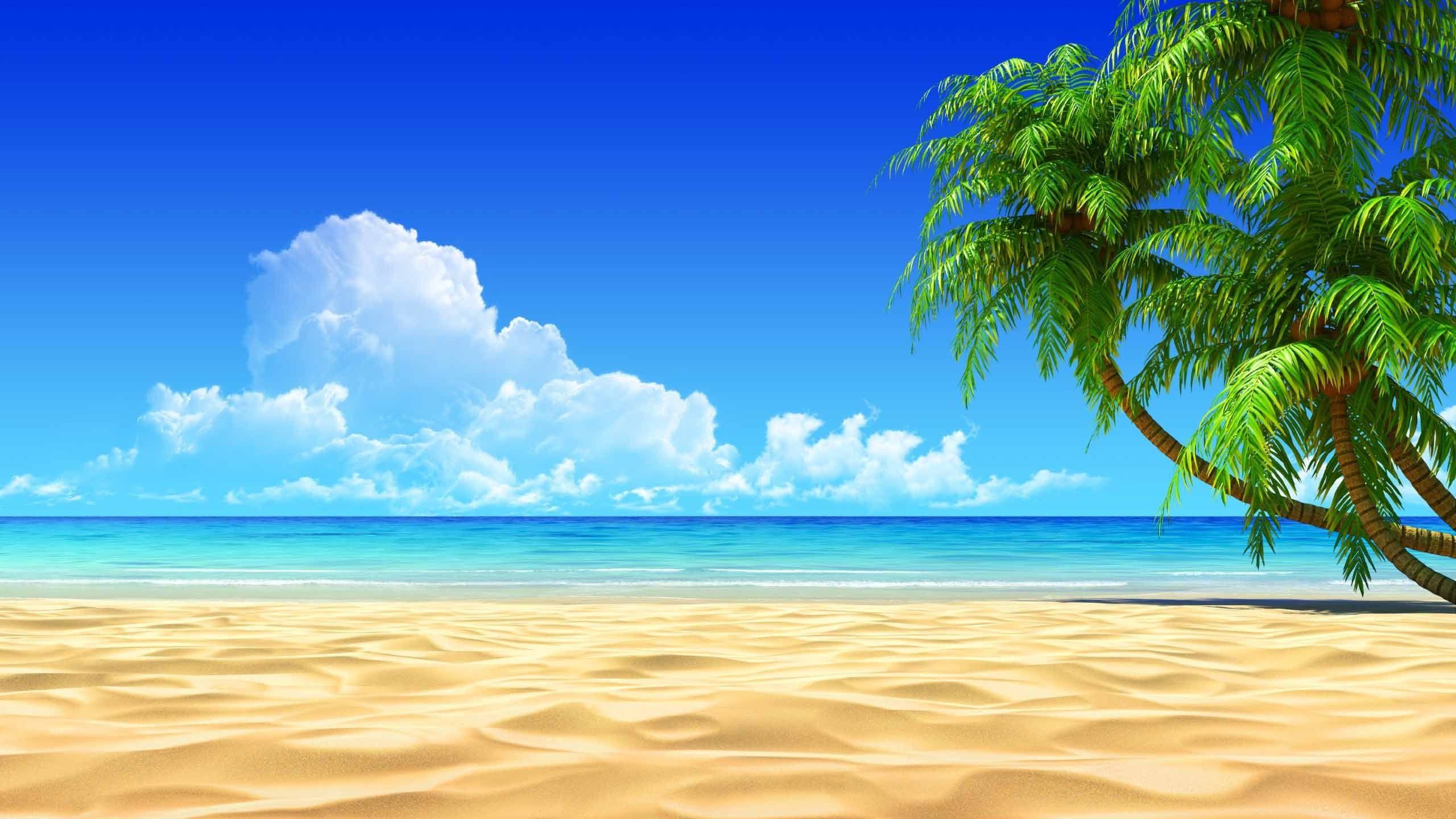 2560x1440 Tropical Wallpaper Background background picture
