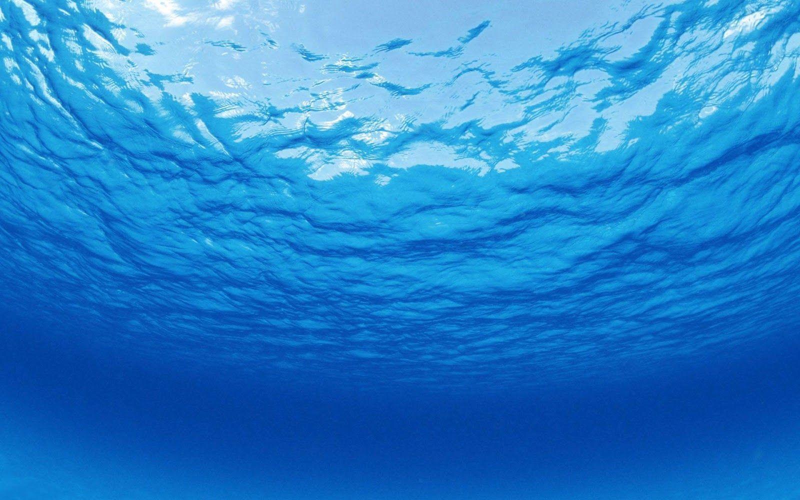 1600x1000 Hình nền miễn phí dưới đại dương.  Hình nền nước xanh, Đẹp