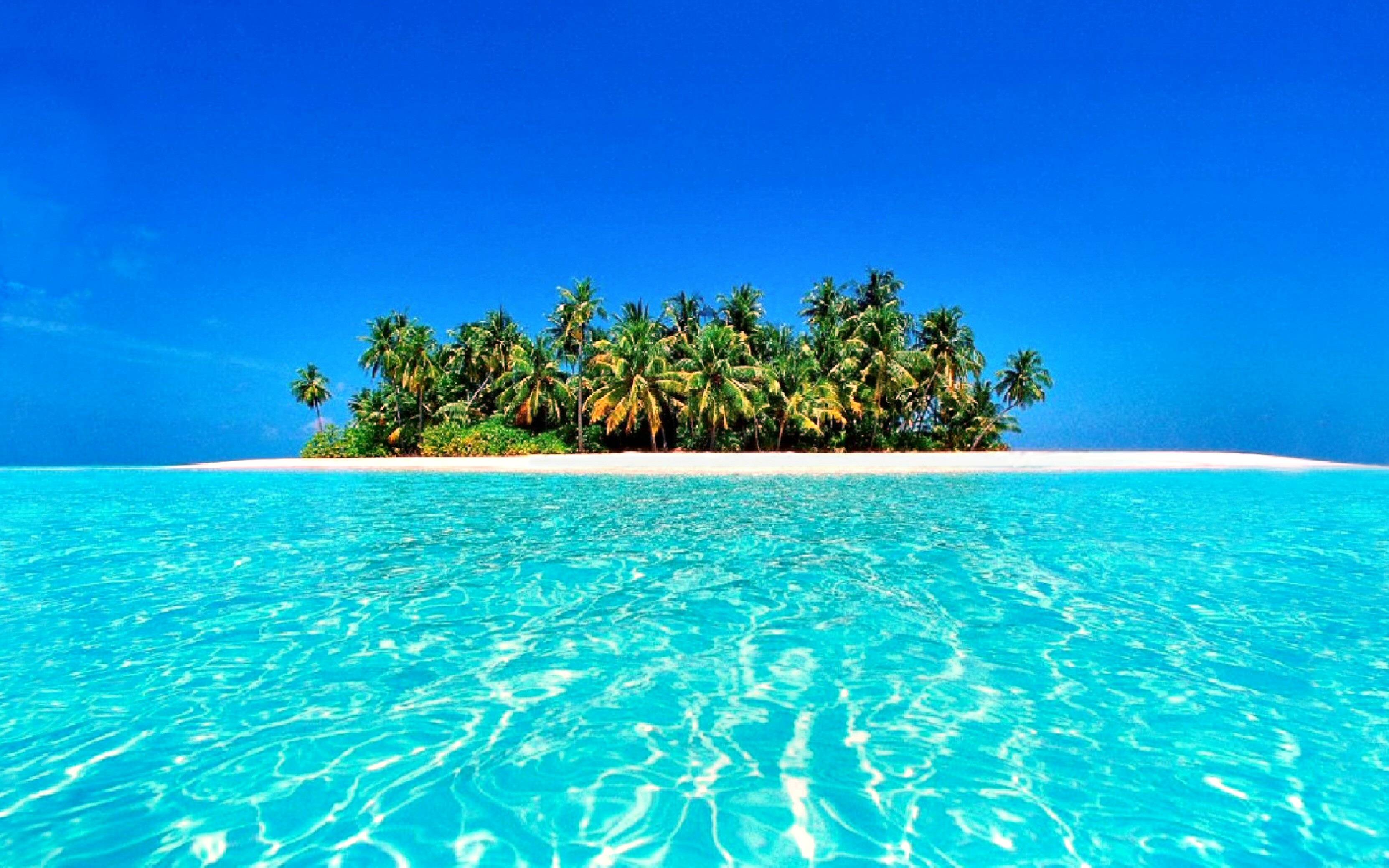 3325x2077 desktop background tropical