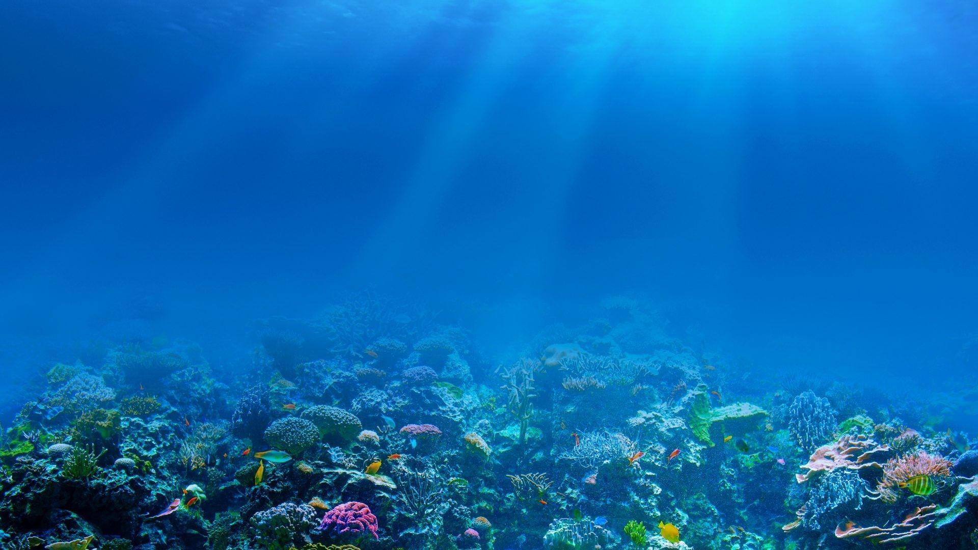 Download Under the Sea Desktop Wallpapers - Top Free Under the Sea ...