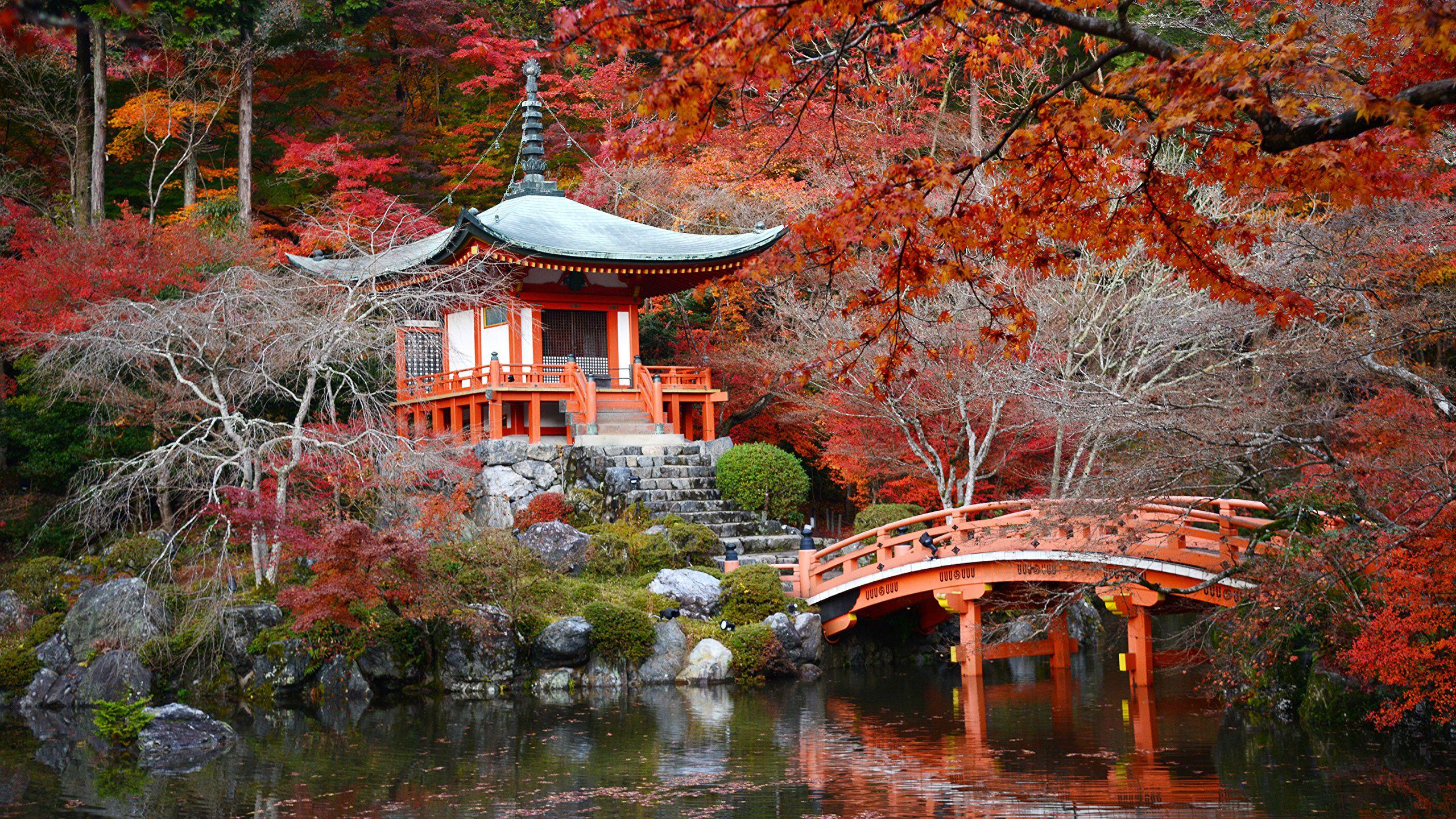 Kyoto Japan Desktop Wallpapers - Top Free Kyoto Japan Desktop