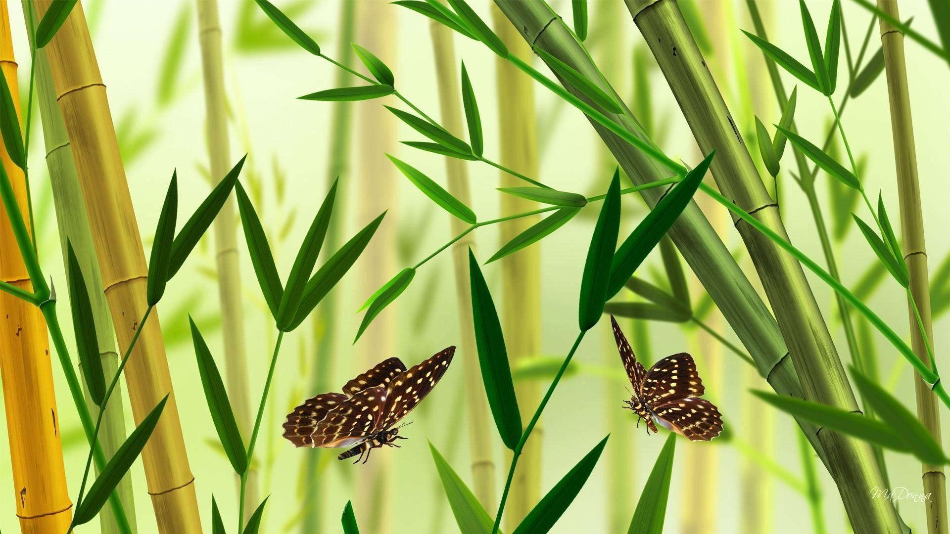 1920x1080 Free Image Desktop Bamboo HD Wallpaper Download High
