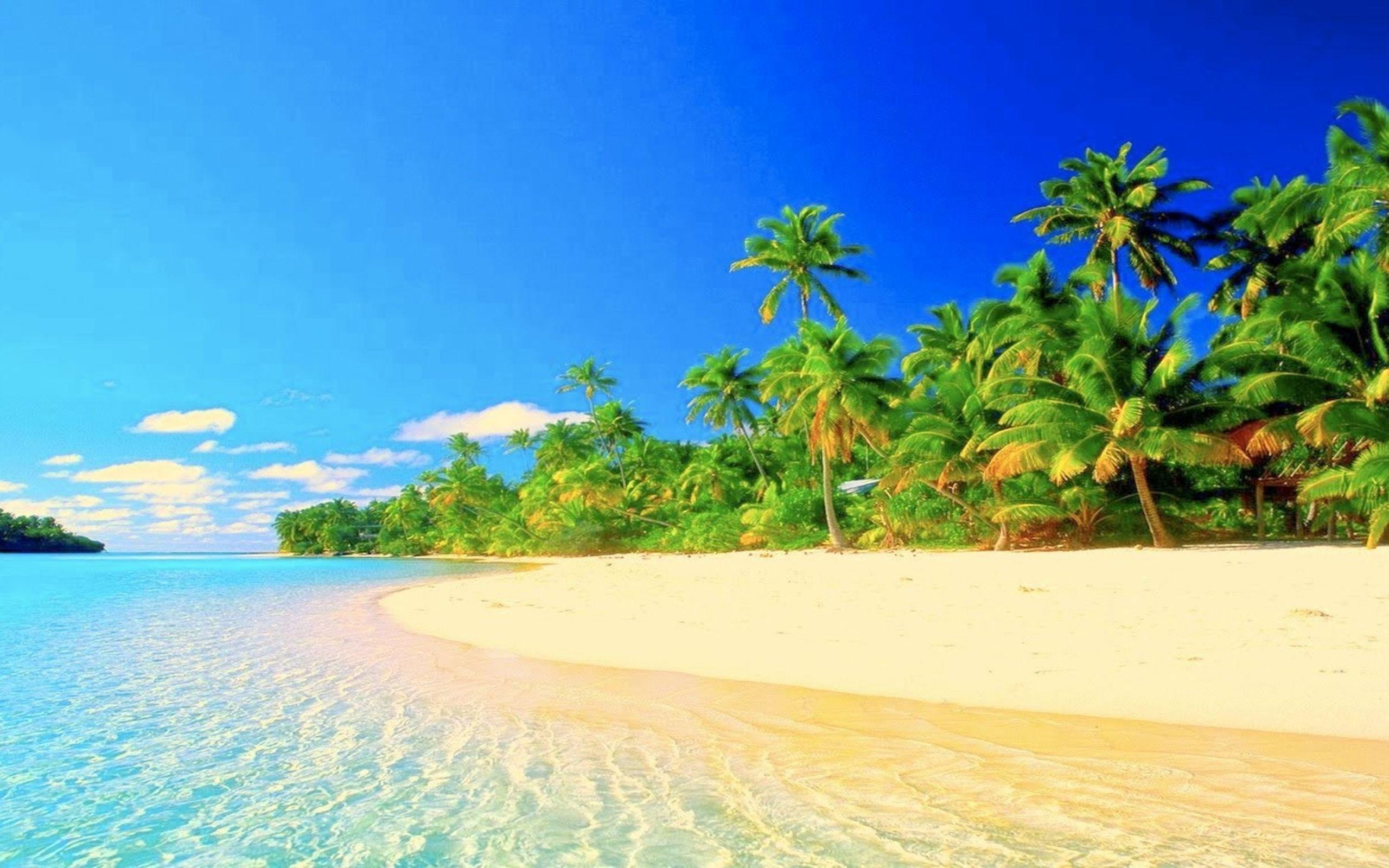 2560x1600 tropical desktop wallpaper widescreen