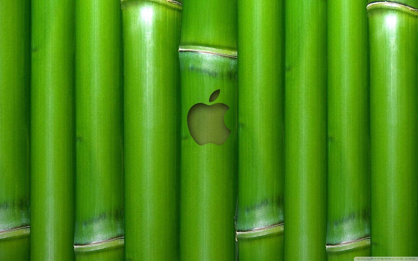 1440x900 Apple Wallpaper Bamboo ❤ 4K HD Desktop Wallpaper for 4K