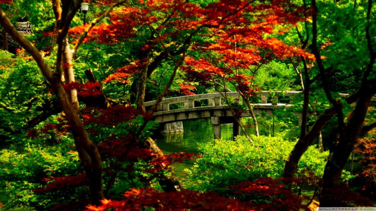 1284x721 Free Japanese Garden Desktop Background