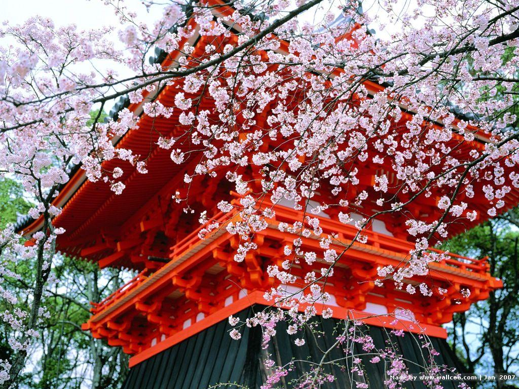 1024x768 Kyoto Japanese Garden wallpaper 1024x768 NO.2 Desktop