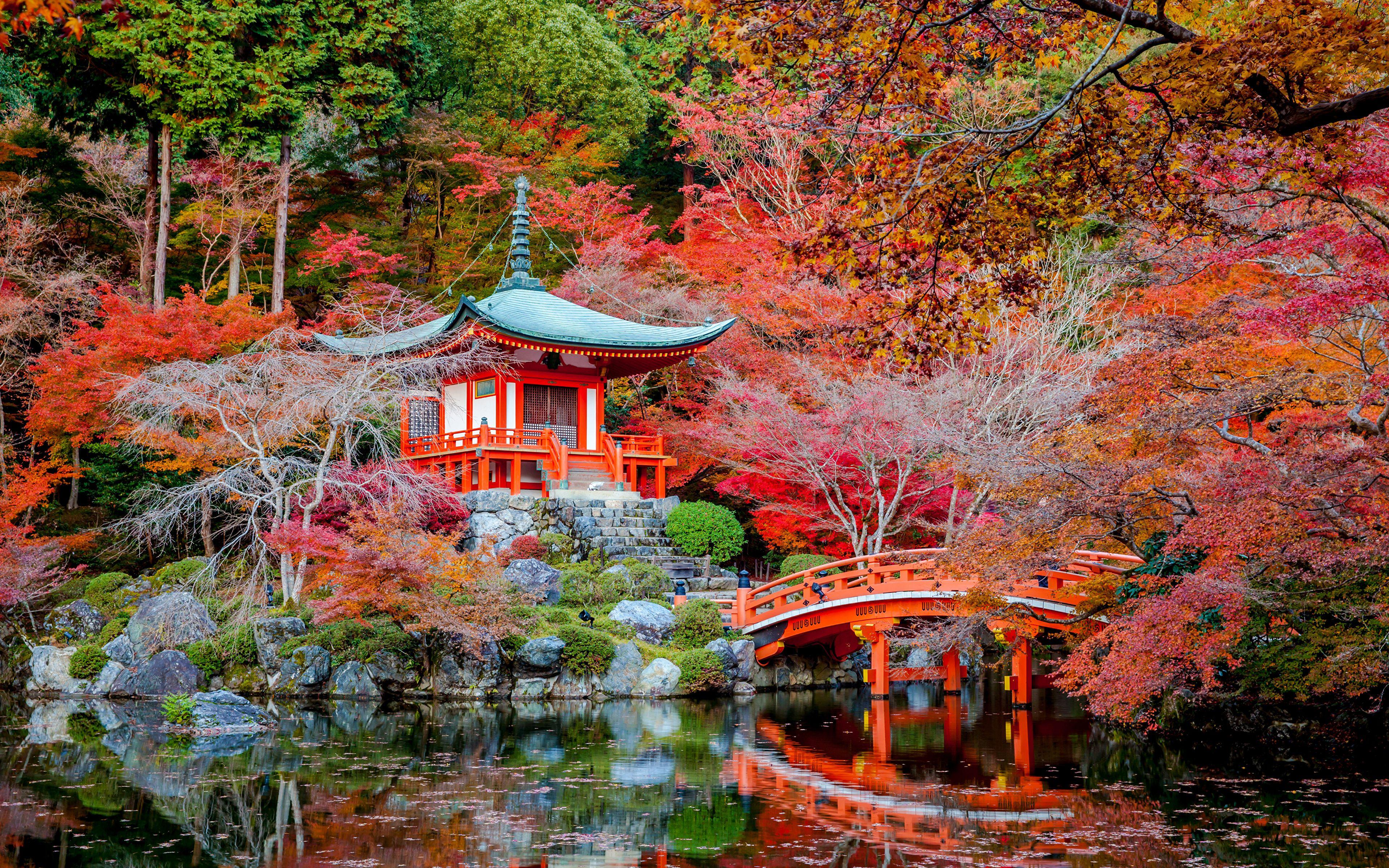 Japan Autumn Wallpapers Top Free Japan Autumn Backgrounds 