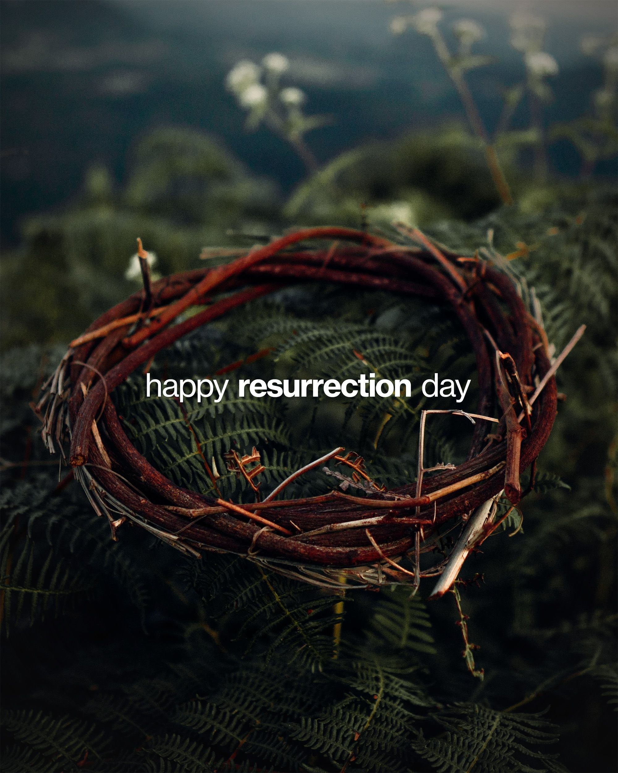 Resurrection Day Wallpapers - Top Free Resurrection Day Backgrounds ...