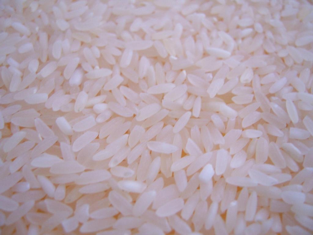 1024x768 Rice wallpaper 1024x768 desktop background