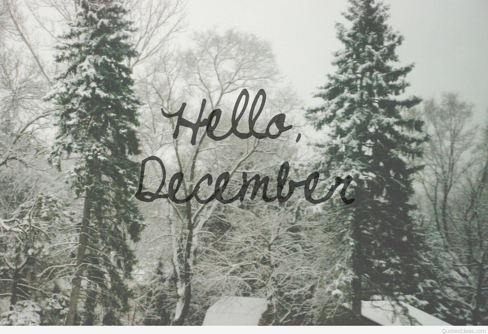 december pictures tumblr
