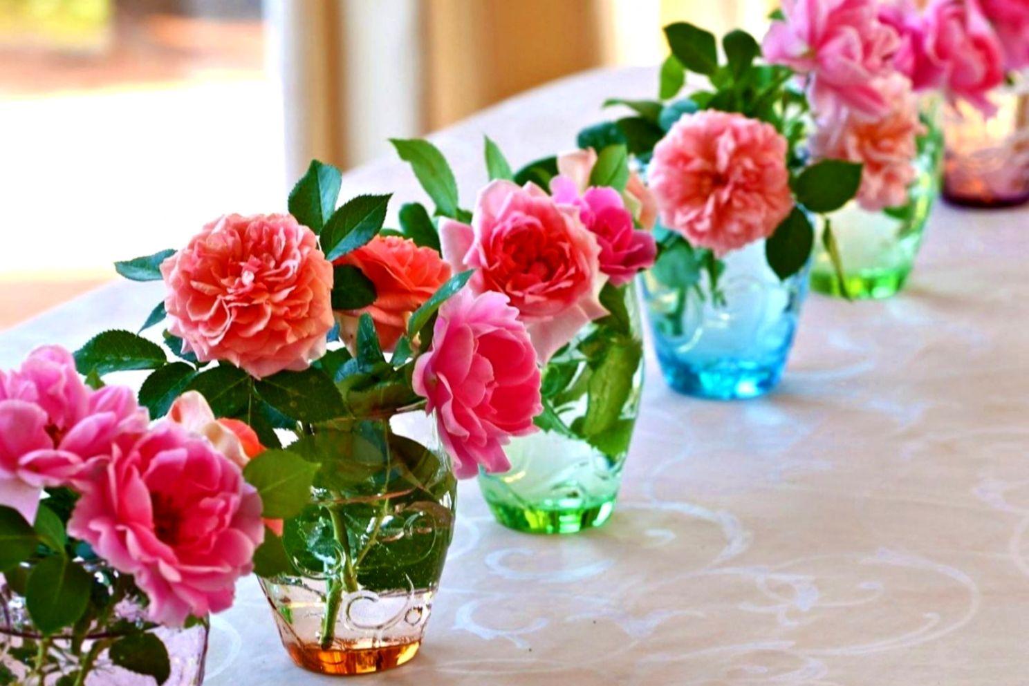 1488x993 Rose Flowers Nature Wallpaper Desktop Background