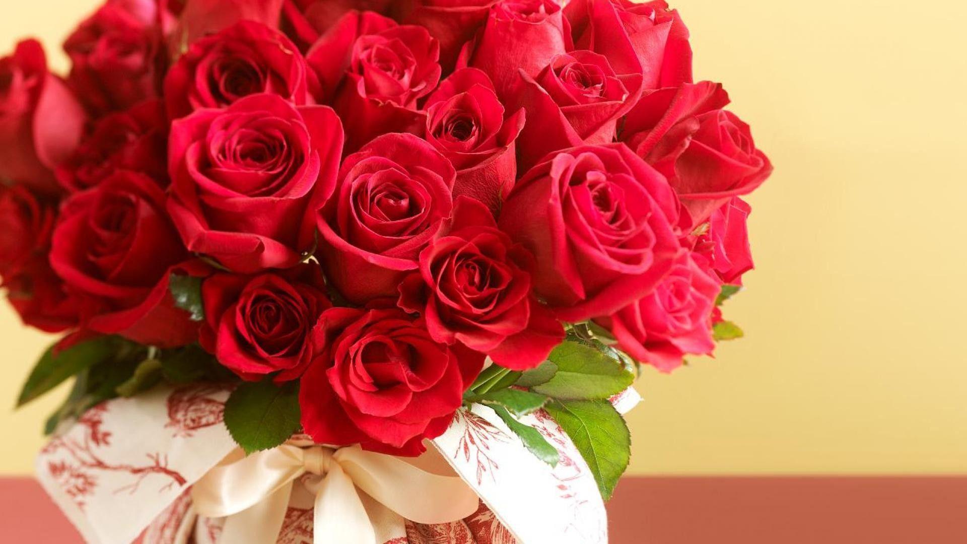 1920x1080 Red Roses Wallpaper for Desktop