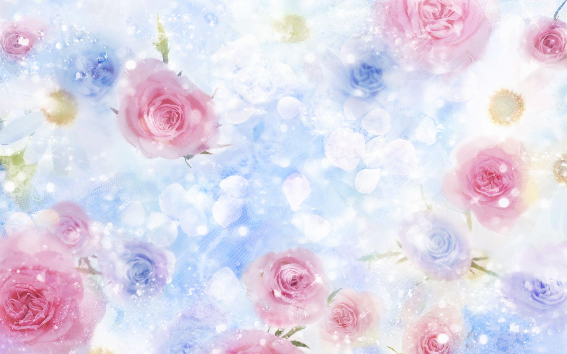 1920x1200 Roses Desktop Background, High Definition, High