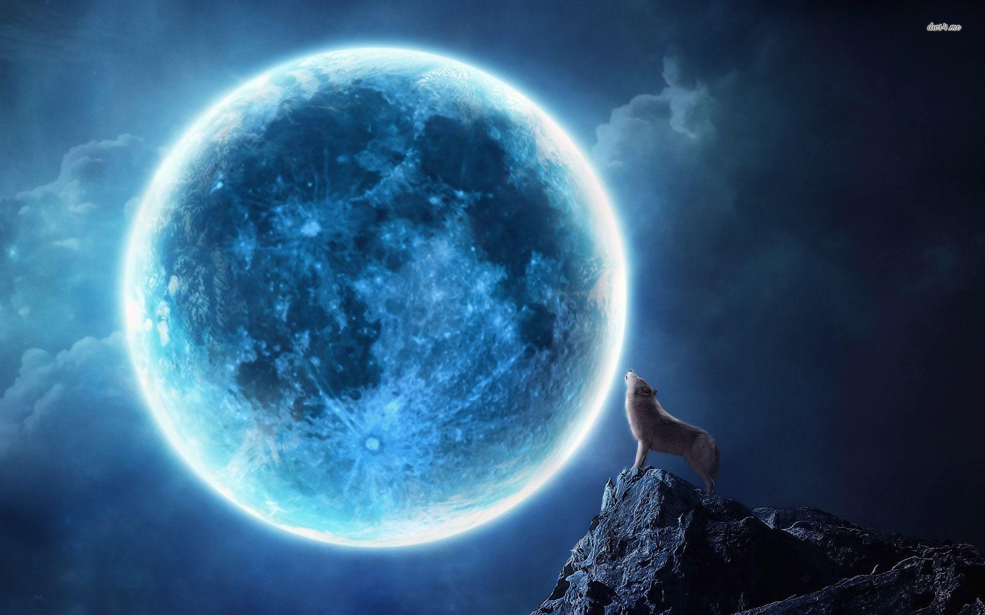1920x1200 Full Blue Moon Wolf Hình nền HD, Hình nền