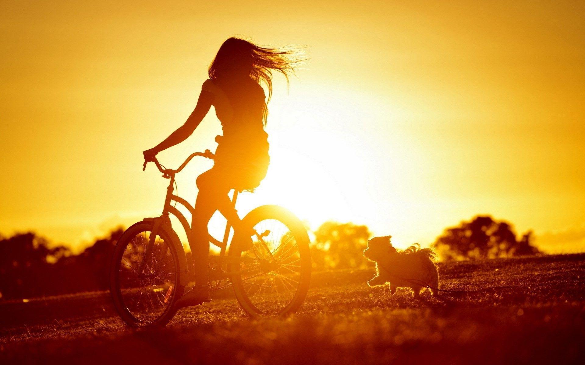 1920x1200 sunset, Women, Bicycle, Dog, Sunlight, Silhouette Wallpaper