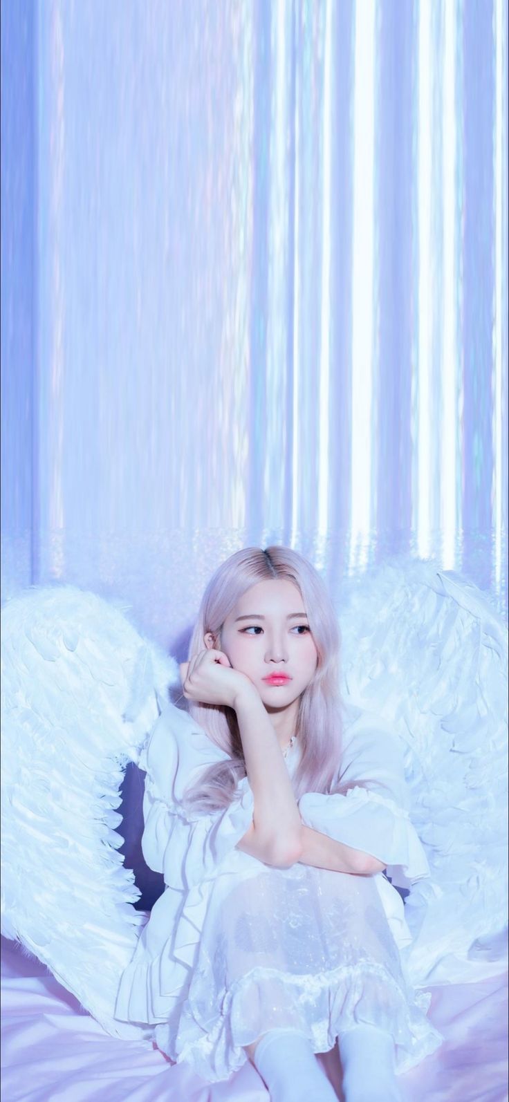 736x1594 SIA JIWOO WALLPAPER