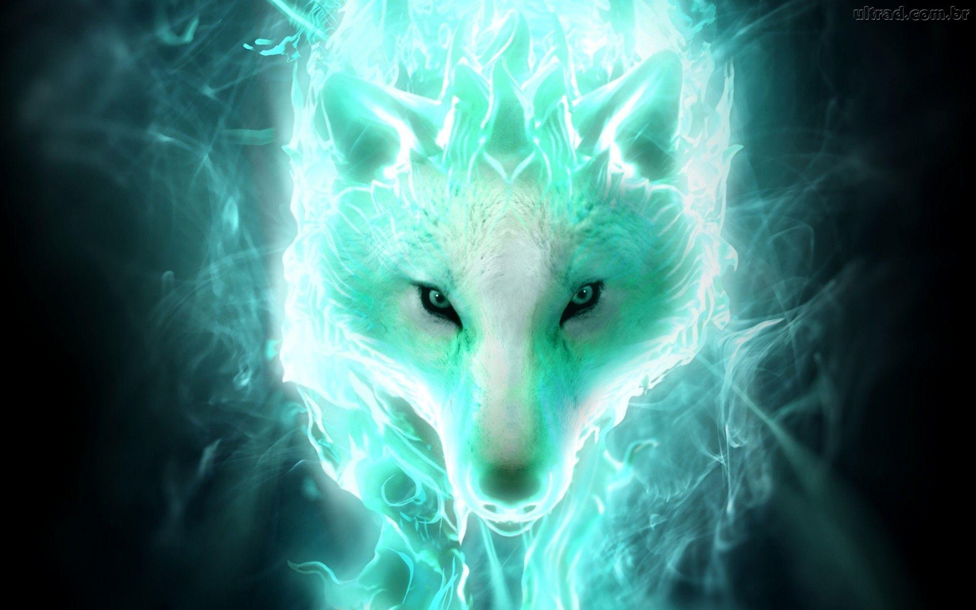 Ice Blue Flame Cool Wolf Backgrounds