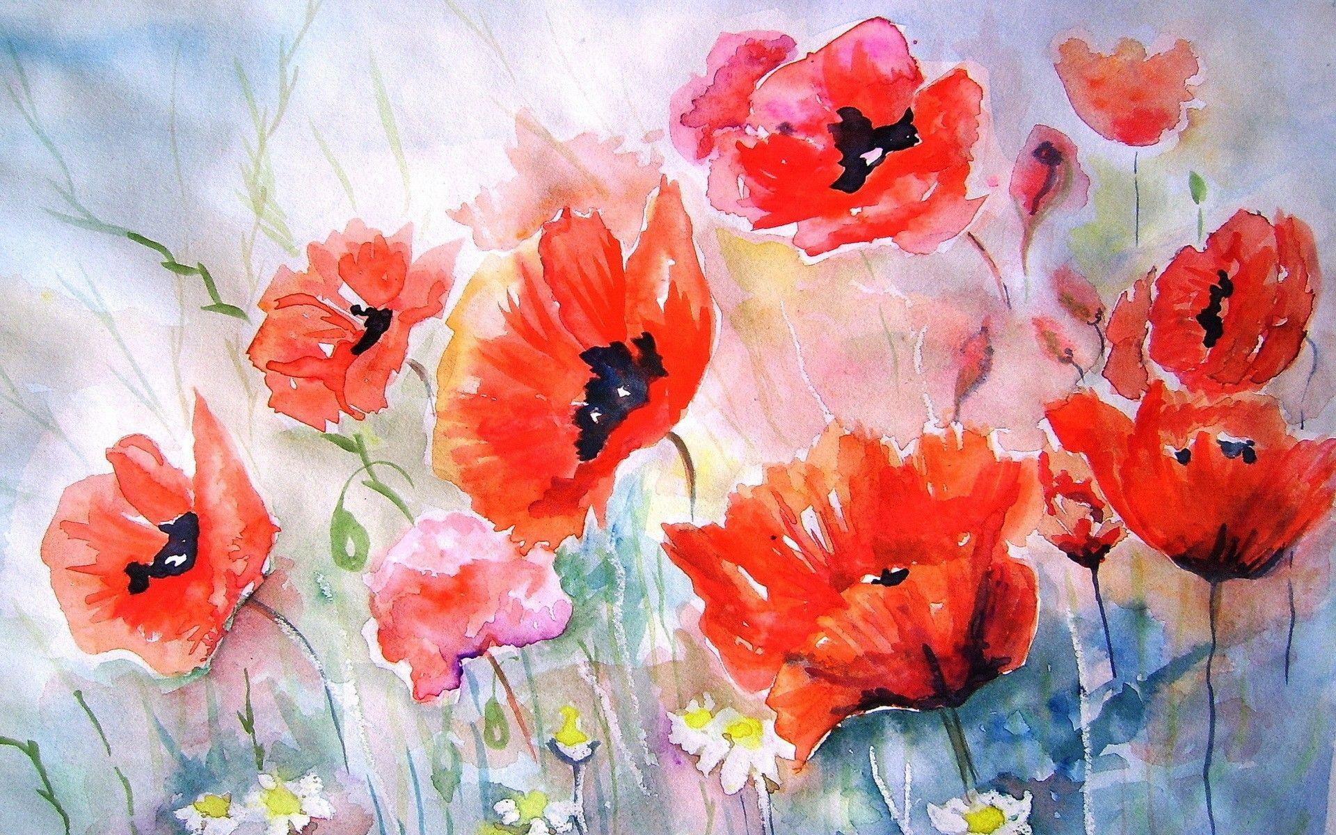 1920x1200 Poppy Flower Wallpaper