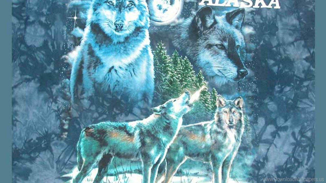 67 Best Free Blue Wolf Wallpapers WallpaperAccess