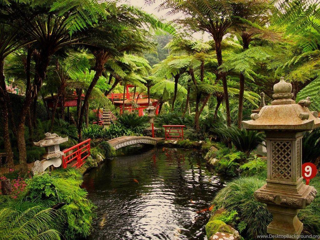 1024x768 Oriental HD Wallpaper Desktop Background