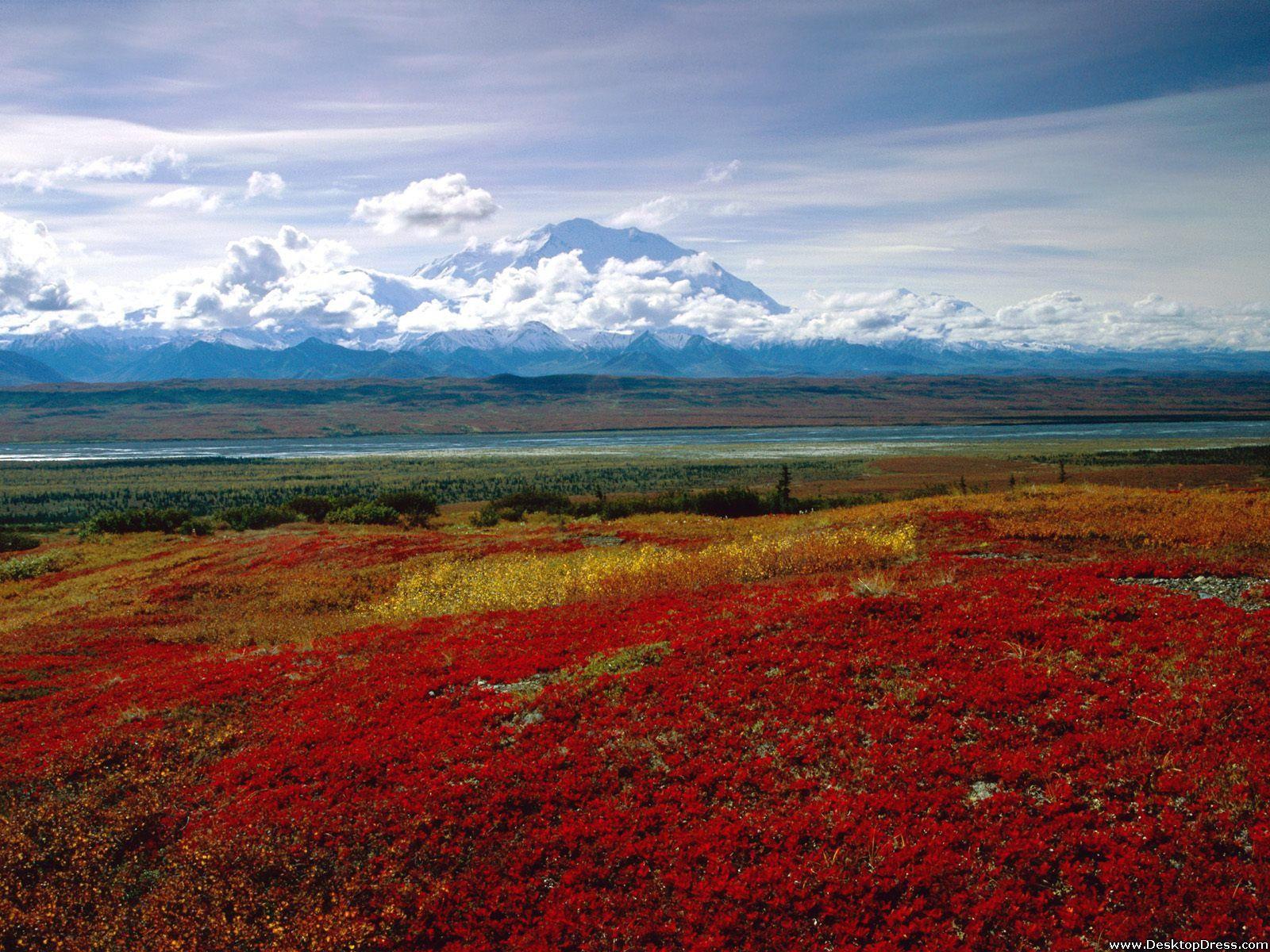 1600x1200 Desktop Wallpaper Natural Background Brilliant Colors
