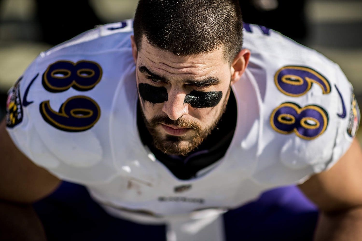 1500x1000 Mark Andrews. Baltimore ravens, Raven