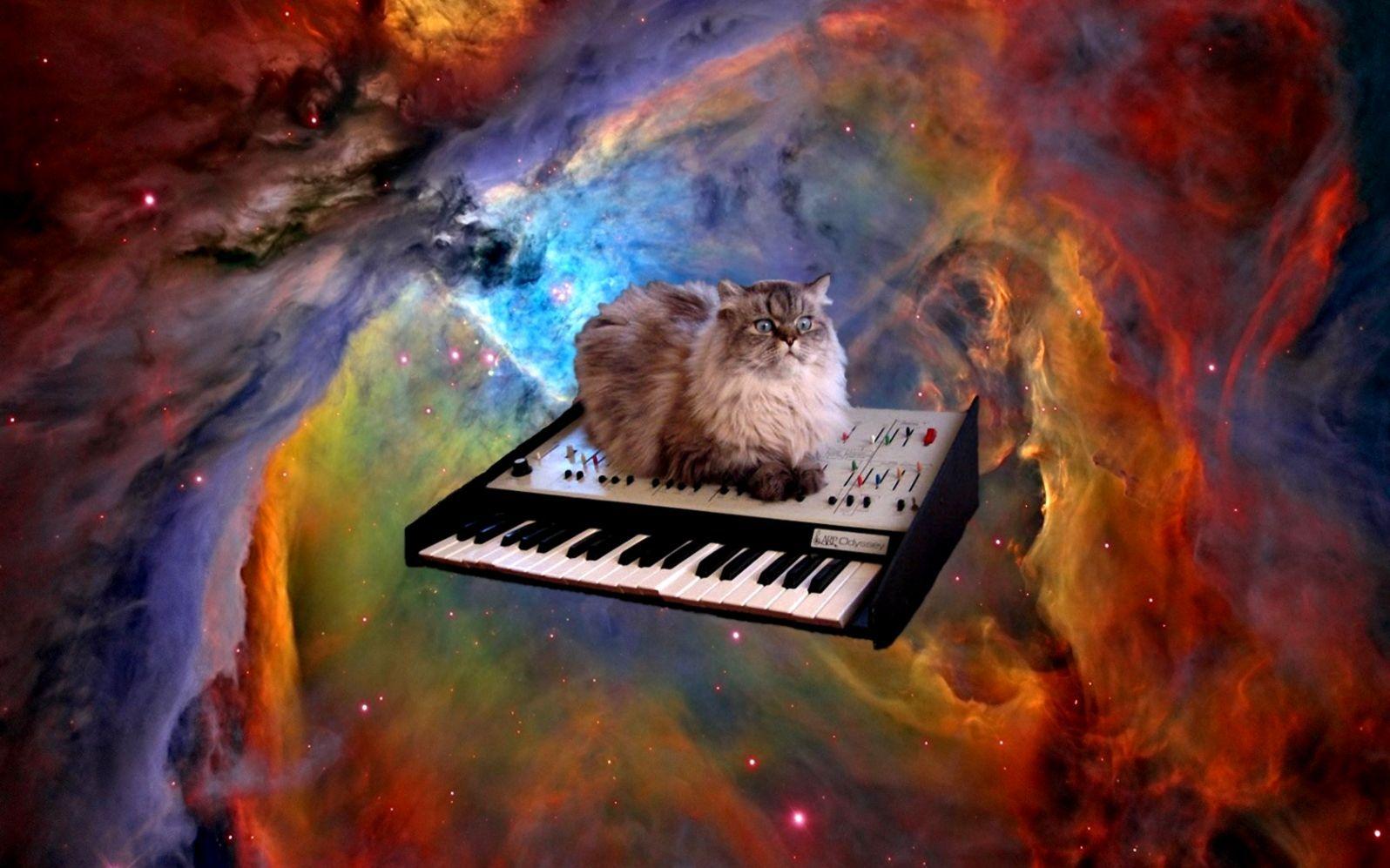 1596x997 Space Cat Background. The Champion Wallpaper