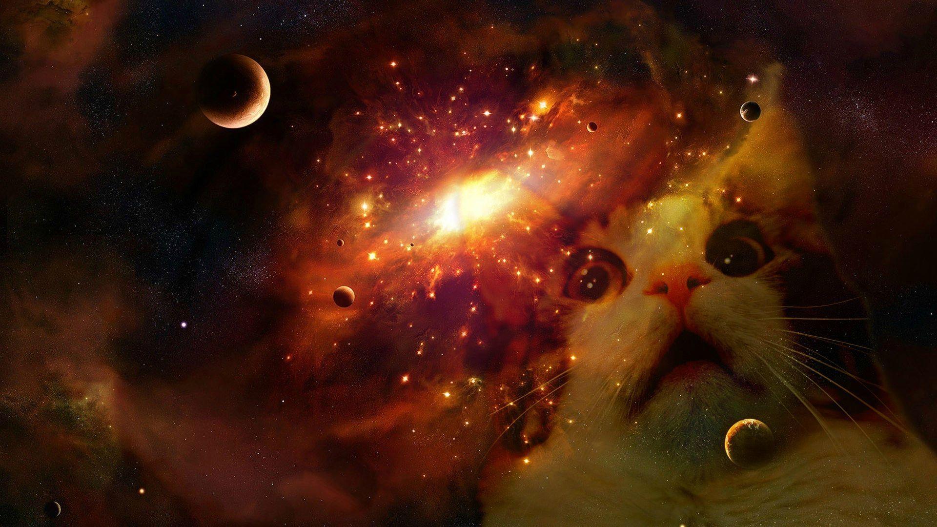 1920x1080 Space cat wallpaper