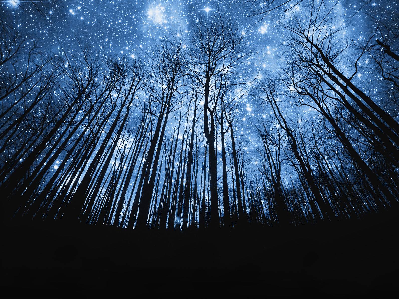 1600x1200 Starry Night Wallpaper HD, Picture