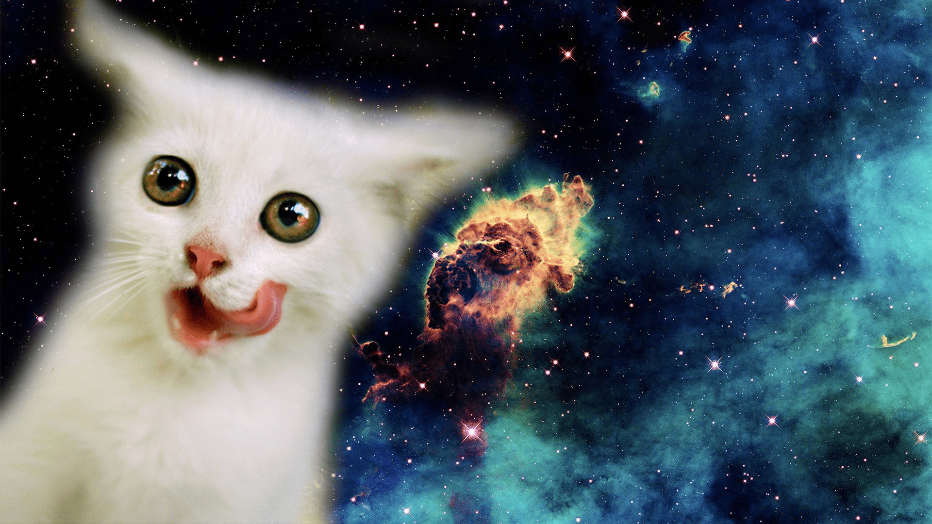 Space Cat Desktop Wallpapers - Top Free Space Cat Desktop Backgrounds ...
