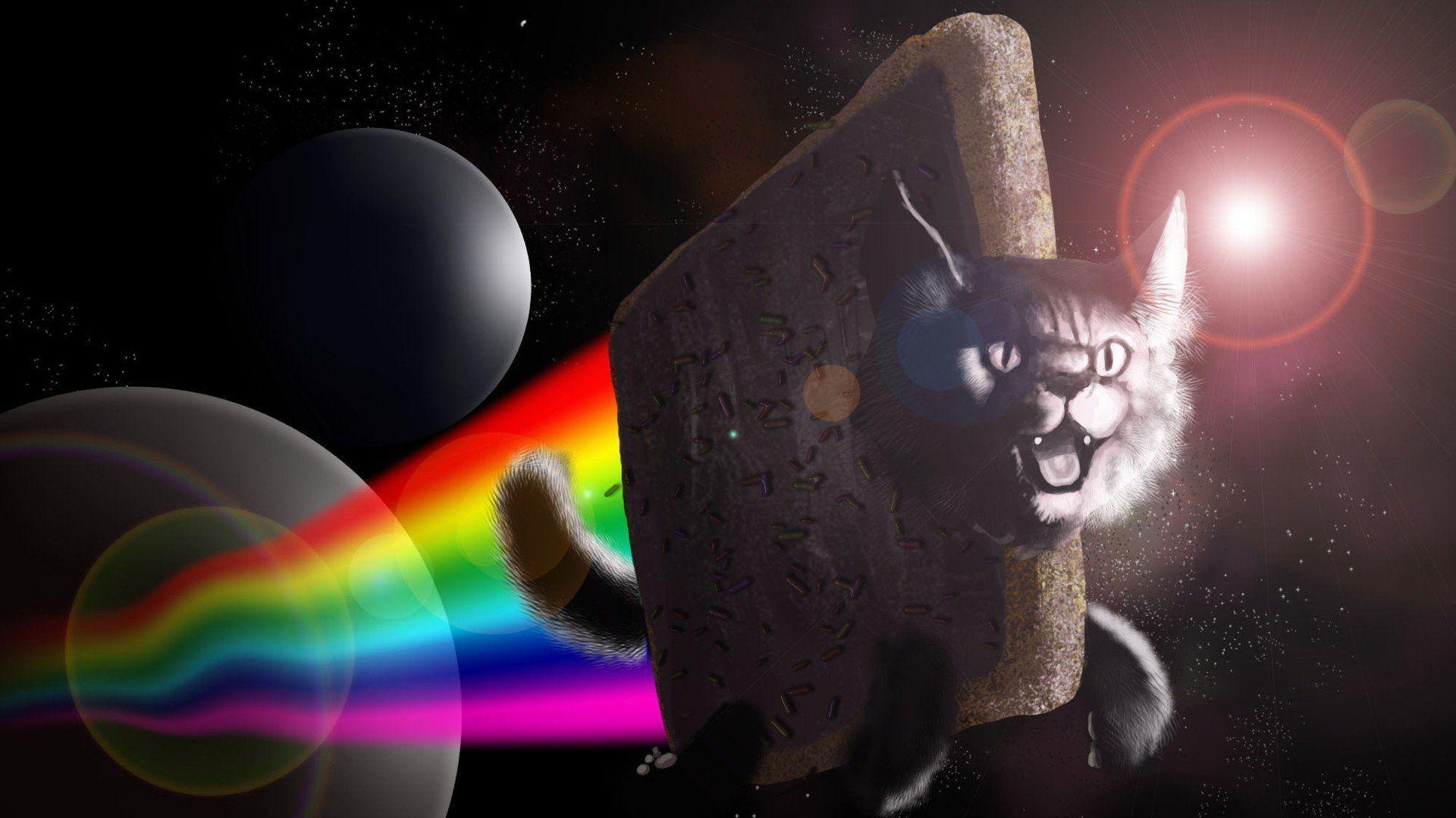 1920x1080 Space Cat Space Cat Galaxy HD Wallpaper Desktop