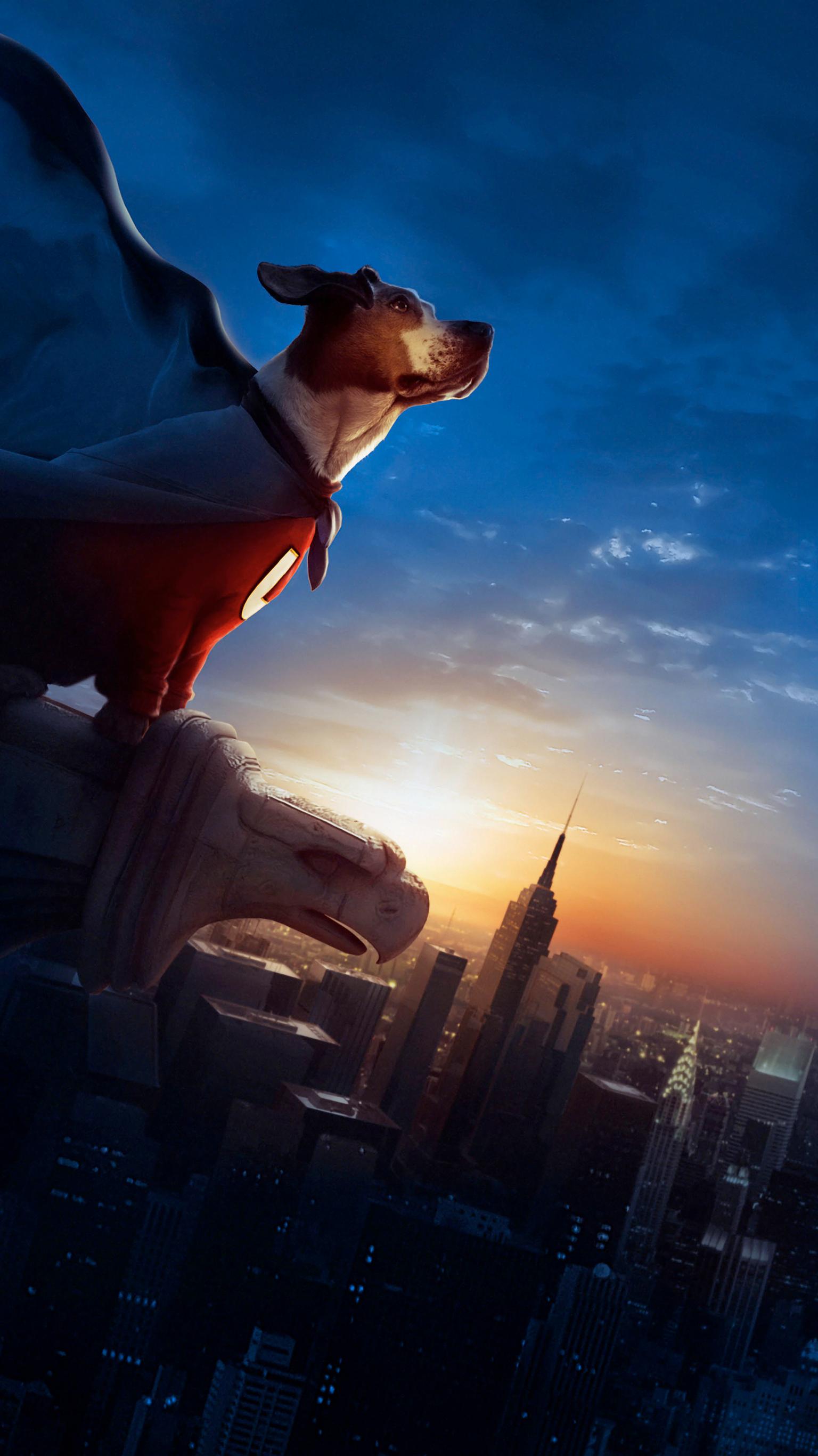 1536x2732 Underdog Wallpaper