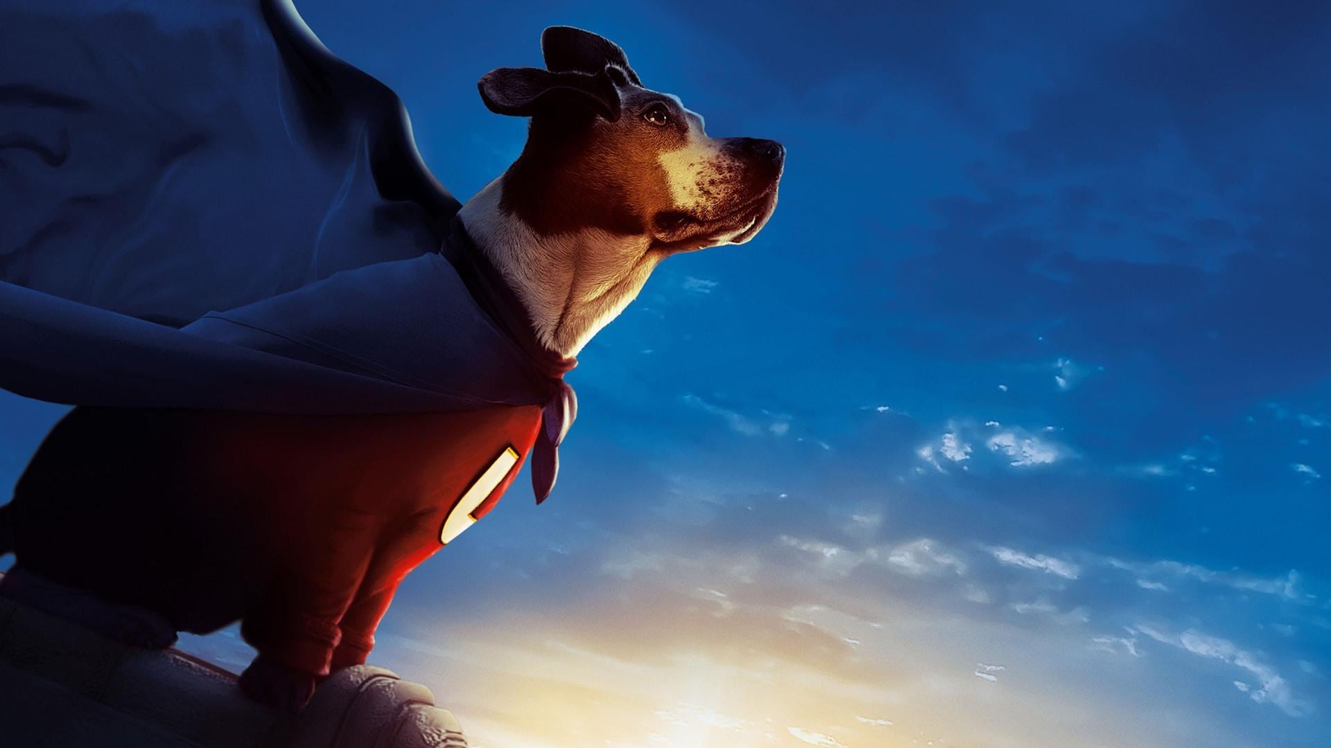 1920x1080 Movie Database TMDB
