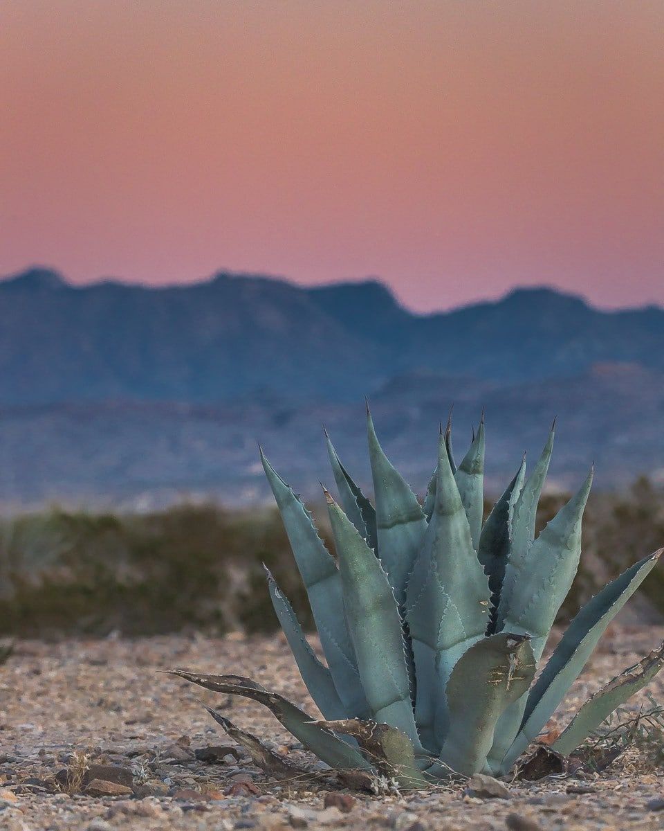 960x1200 Day Big Bend National Park Itinerary