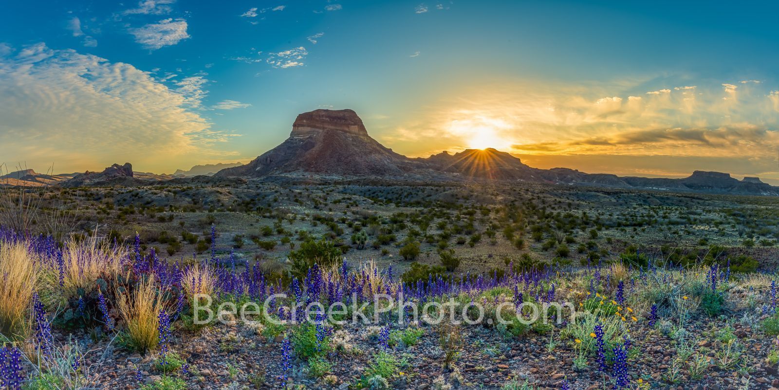 1600x802 Texas Big Bend Parks image and prints