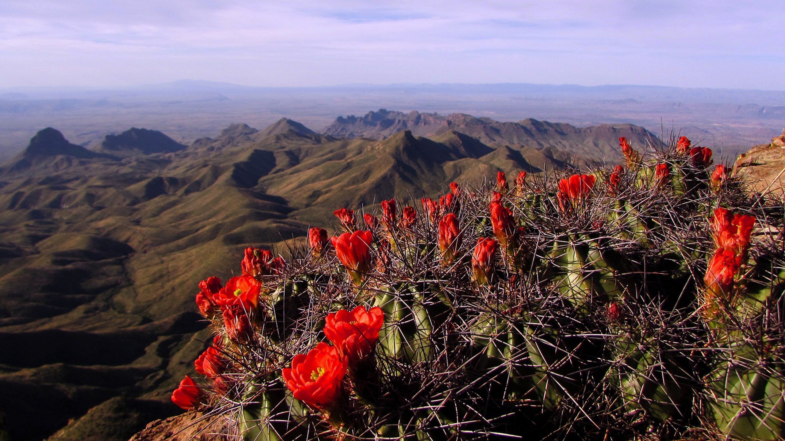 2560x1440 Travel Guide for Big Bend National Park