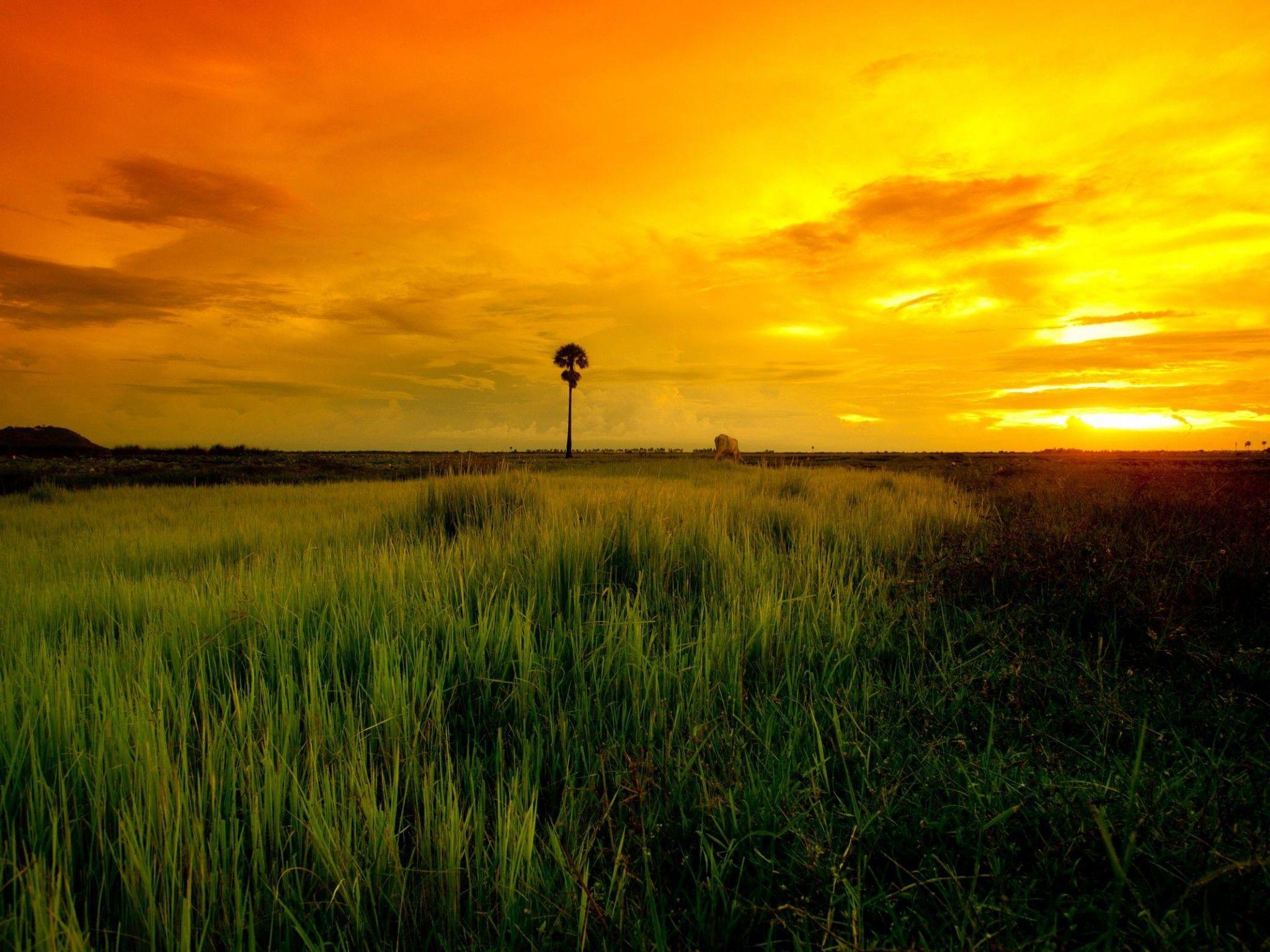 2048x1536 Sunset In Cambodia HD desktop wallpaper : Widescreen : High