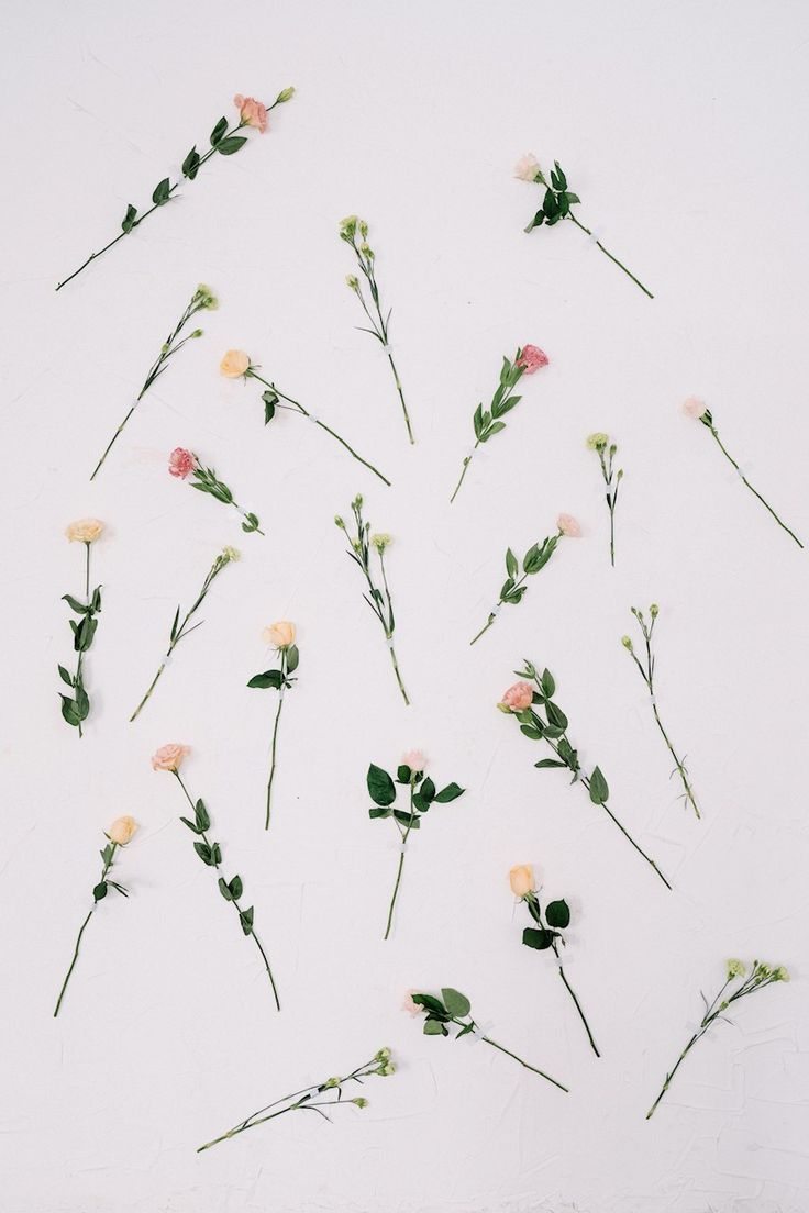 736x1104 Free Aesthetic HD iPad Wallpaper to Download