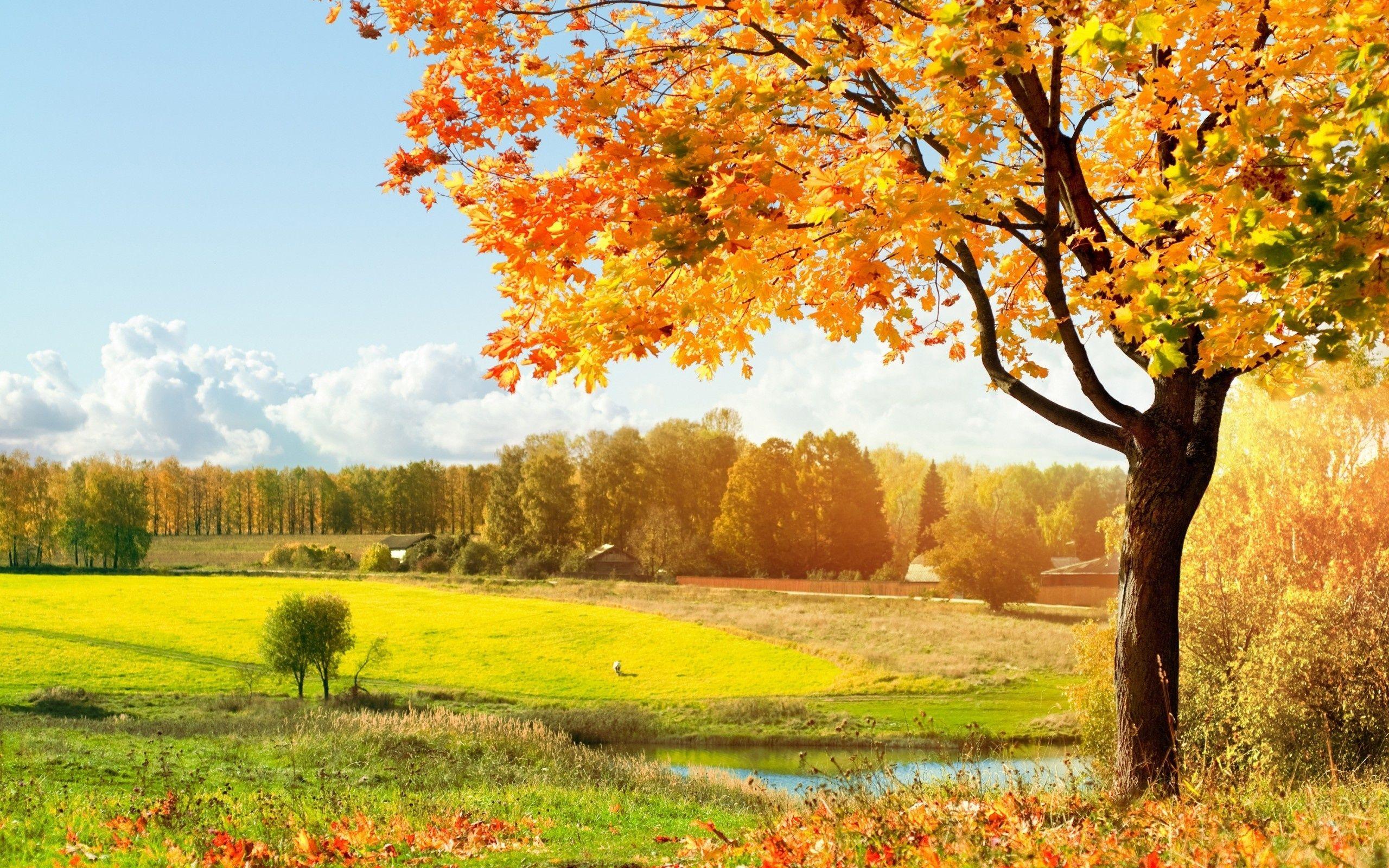2560x1600 Romantic Autumn