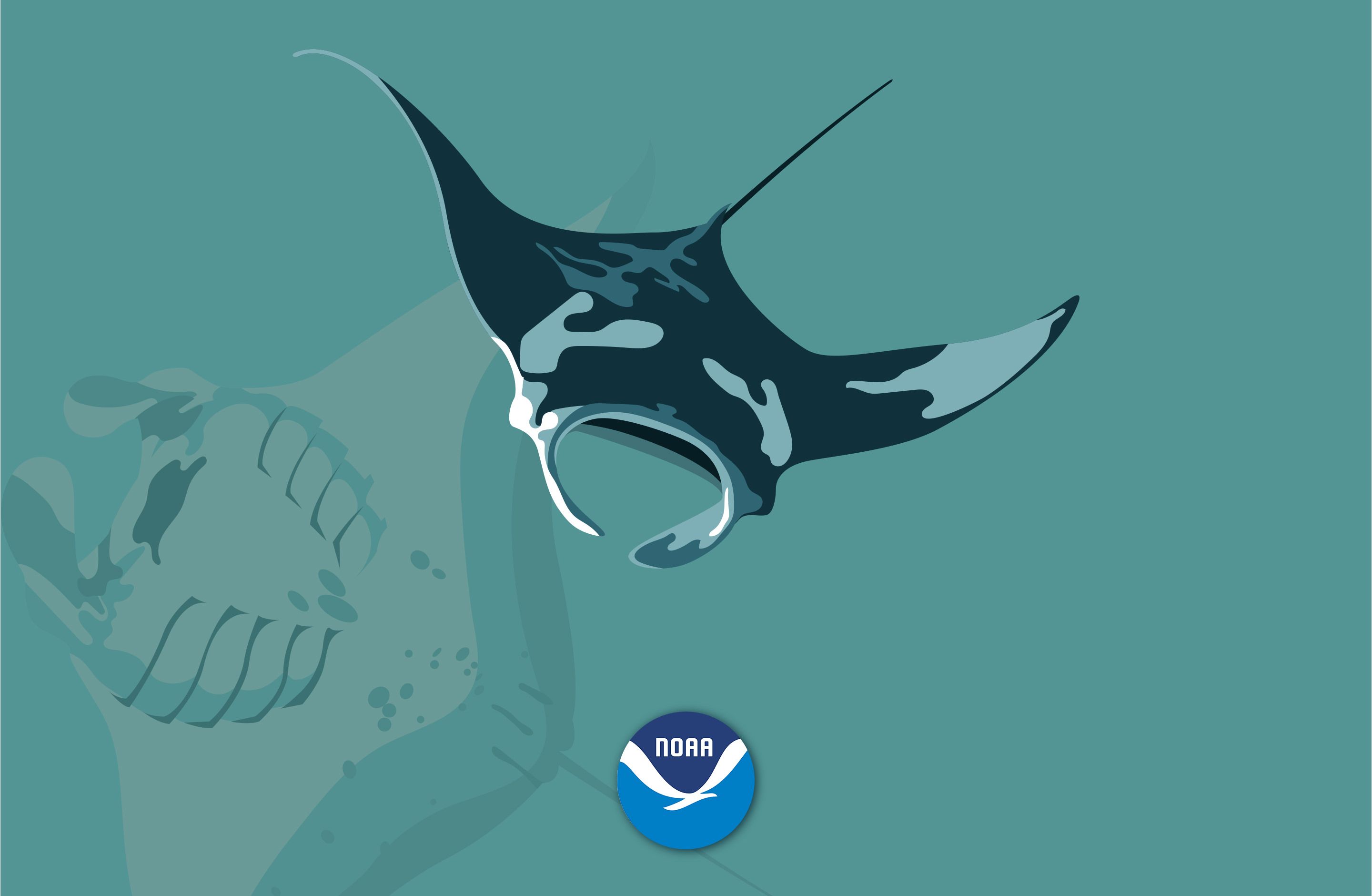 2880x1880 NOAA's National Ocean Service: Wallpaper