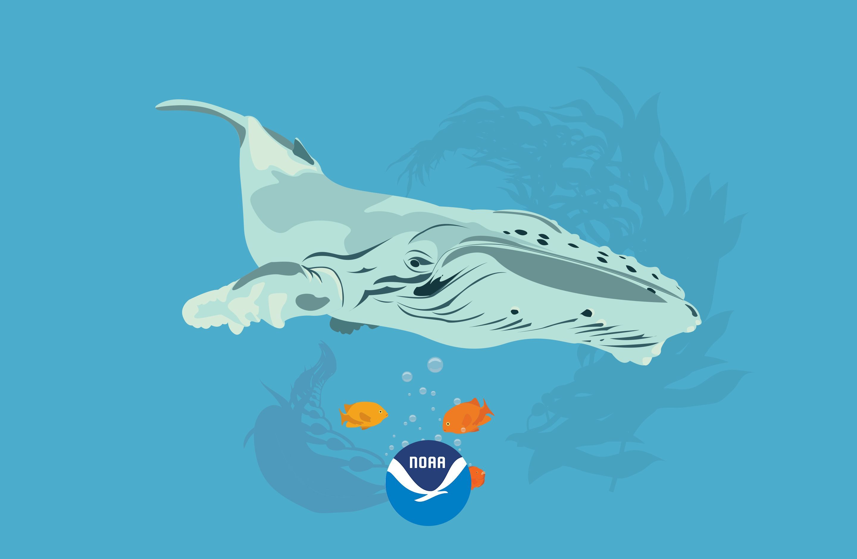 2880x1880 NOAA's National Ocean Service: Wallpaper